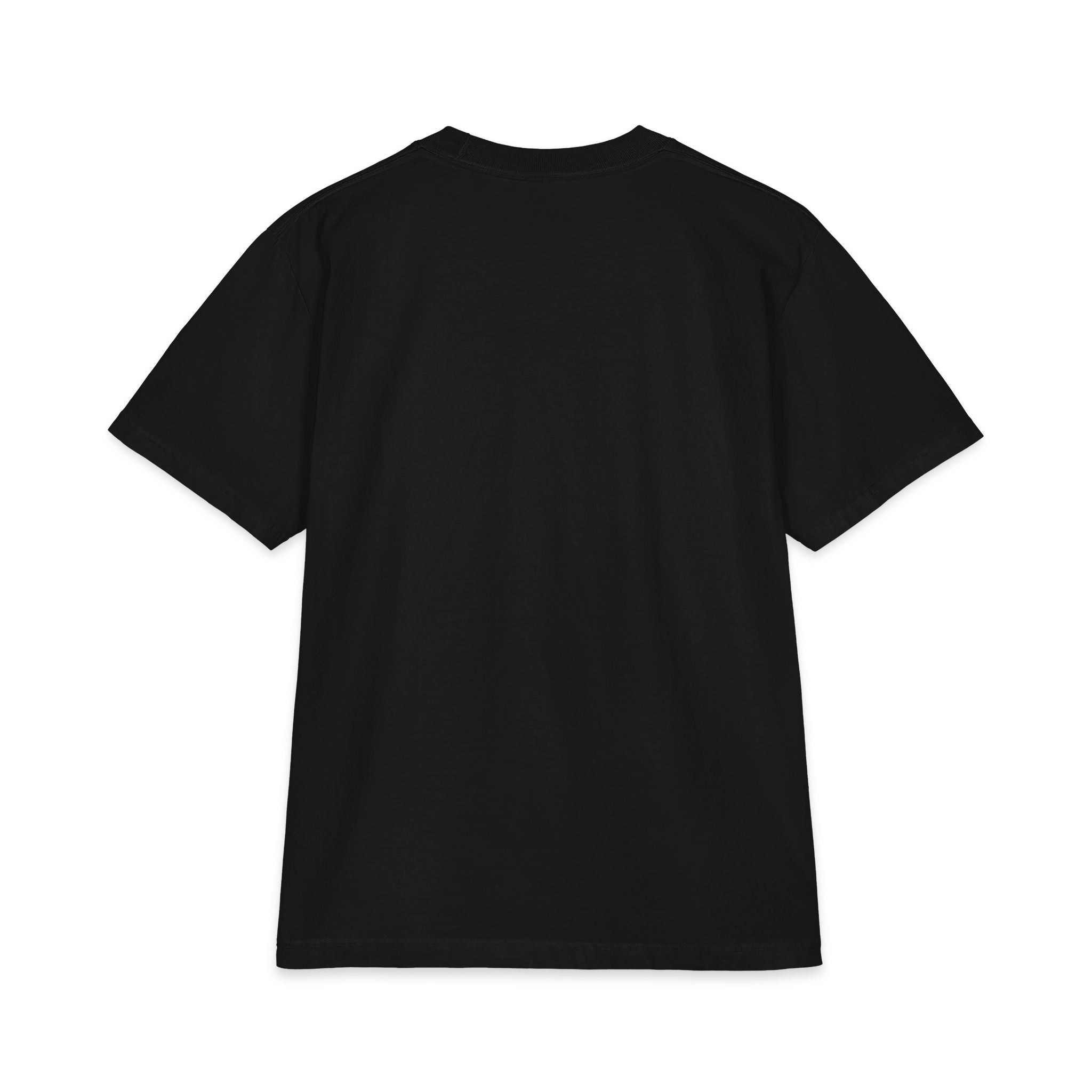 Melanin Queen Africa Map Tee