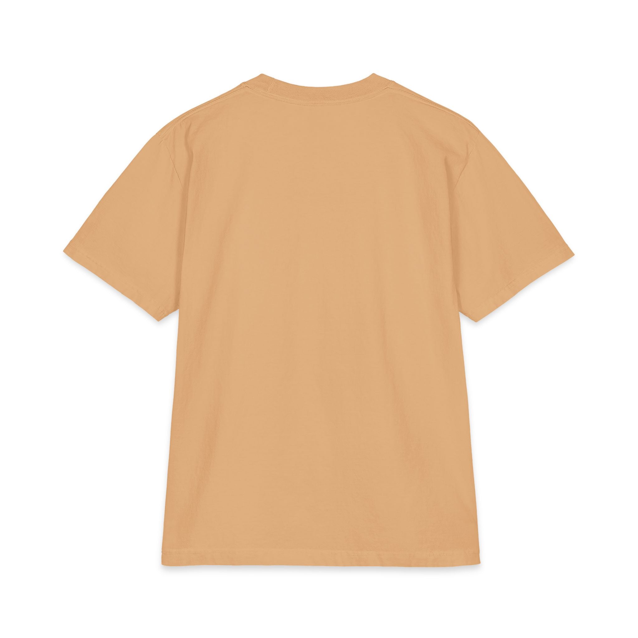 Melanin Queen Africa Map Tee